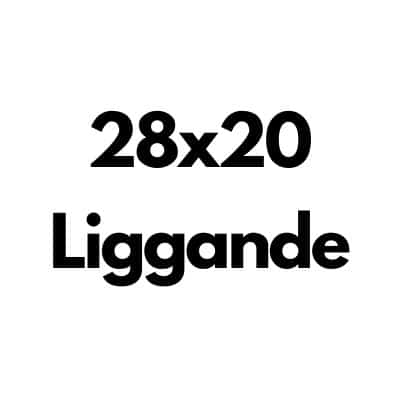 Liggande 28x20