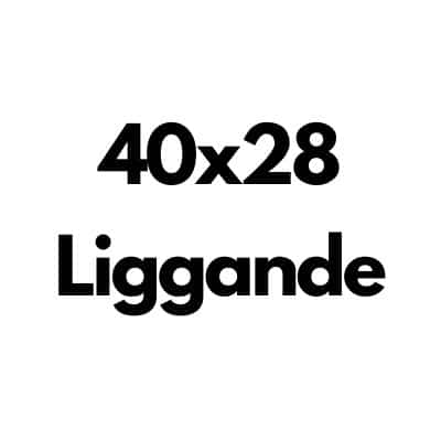 Liggande 40x28